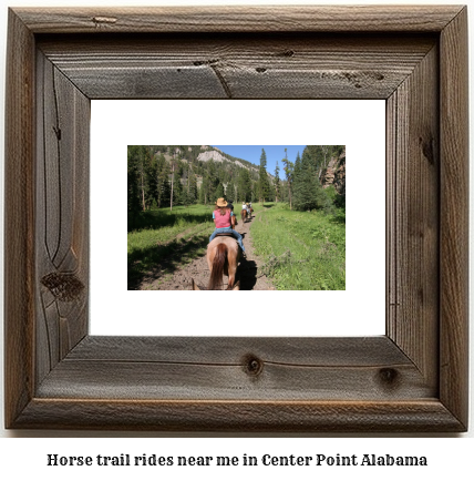 horse trail rides near me in Center Point, Alabama